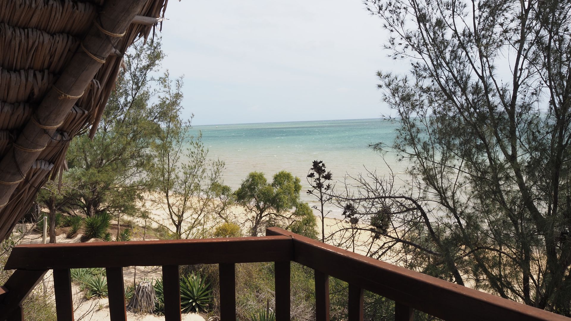 Le Paradisier » Matoke